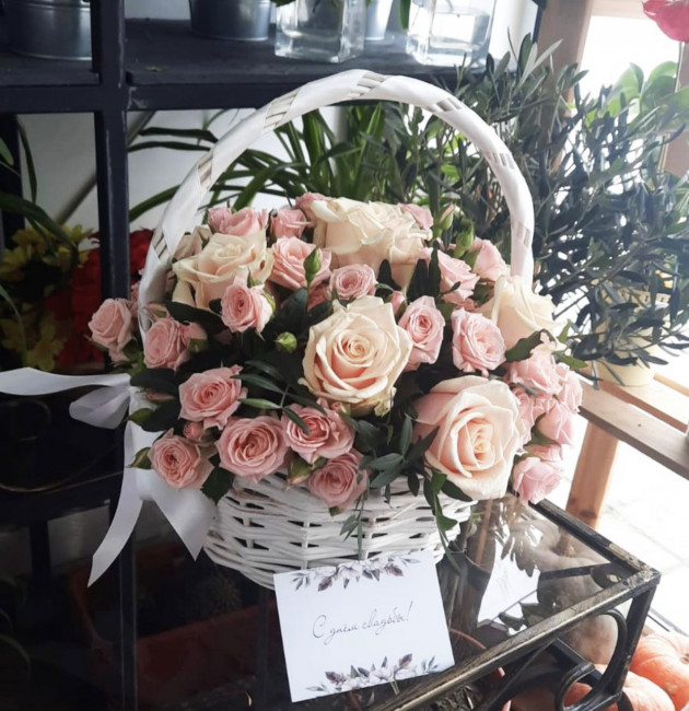 Робкая нежность Робкая нежность